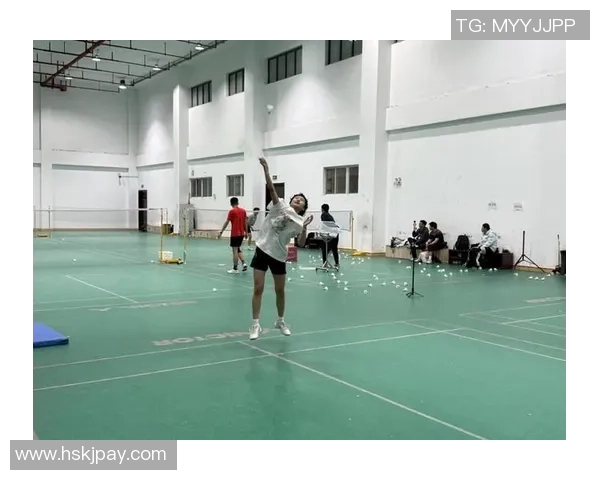 精英赛点评:南京羽毛球队的耐力表现 精英赛点评:南京羽毛球队的耐力表现